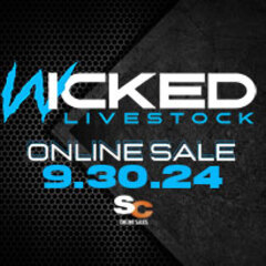 Feeling Curious? See The Full Rundown on Explosive Circuit Online Sales Tonight